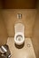 Automatic induction toilet flush toilet