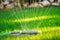 automatic lawn watering system with circular sprinklers