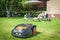 Automatic lawnmower garden scenery