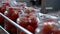 Automatic Line for Processing and Canning Vegetables . Preserving Tomatoes 3
