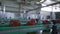 Automatic line for processing of vegetables. Preserving tomatoes and cucumbers. Glass jars with tomatoes and cucumbers