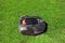 Automatic robot lawnmower mows grass on lawn, top view