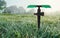 Automatic sprinkler irrigation system for Watering grass on a blurred house background.