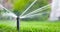 Automatic sprinkler system watering the lawn on a background of green grass