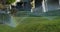 automatic sprinklers water the lawn in the resort. Green grass, clear day, slow motion, close up