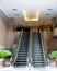 The automatic steel escalator