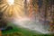 Automatic watering in the park at dawn