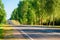 Automobile road in a green forest