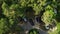 Automobiles parked in green garden at sunlight upper view