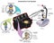 Automotive car fuel system infographic diagram mechanics dynamics engineering