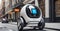 Autonomous Delivery Robot in Urban Setting