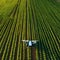 An autonomous drone spraying crops in a large agricultural field1