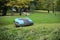 Autonomous lawnmower in a park