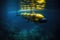 autonomous underwater vehicle auv in motion