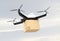 Autonomous unmanned drone delivering cardboard box in the sky