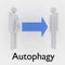 Autophagy - health concept