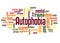 Autophobia fear of being alone word cloud concept 2