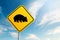 Autralian wildlife wombats road sign with blue sky and cloud background