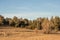 Autum American western rural ranch countryside landscape with tall vintage rustic retro windmill in a mowed field and green oak