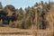 Autum American western rural ranch countryside landscape with tall vintage rustic retro windmill in a mowed field and green oak