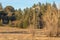 Autum American western rural ranch countryside landscape with tall vintage rustic retro windmill in a mowed field and green oak