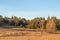 Autum American western rural ranch countryside landscape with tall vintage rustic retro windmill in a mowed field and green oak