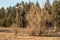 Autum American western rural ranch countryside landscape with tall vintage rustic retro windmill in a mowed field and green oak