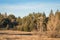 Autum American western rural ranch countryside landscape with tall vintage rustic retro windmill in a mowed field and green oak