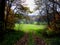 Autum forest and fieild background with a colorful of autumn leaves