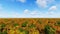 Autum forest landscape 3D render