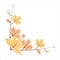 Autum Leaf Corner Vector