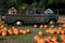 Autum Pumpkins with Old Pick up
