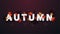 Autumn 3d title concept. Banner with white great headline with autumn leafs. Autumn background in black colors for website