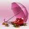 Autumn accessories. Pink umbrella and leather boots. Illustration for the autumn sale.