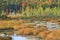 Autumn on Adirondack Marsh