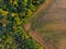 Autumn aerial panoramic drone countryside corn field and forest