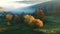 Autumn aerial view of the forest