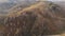 Autumn aerial view of a golden forest in the mountains, at Dumesti, Apuseni Mountains