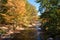 An Autumn Afternoon in Whetstone Gulf State Park