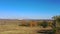 Autumn agricultural fields and trees on a background of smoke