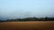 Autumn agricultural landscape with flock of rooks