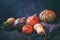 Autumn agricultural still life with cucurbita fruits come in an assortment of colors and sizes, closeup on a dark background