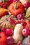 Autumn agricultural still life from the harvest of fruits and vegetables