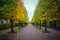 Autumn alley in the Great Peterhof Palace in St. Petersburg