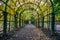 Autumn alley in the Great Peterhof Palace in St. Petersburg