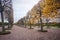 Autumn alley in the Great Peterhof Palace in St. Petersburg