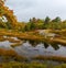 Autumn along Duck Brook Road, Acadia National Park, Maine