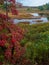 Autumn along Duck Brook Road, Acadia National Park, Maine