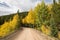 Autumn along Ivanhoe Lake Road in Central Colorado.