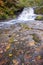 Autumn at Alsea Falls